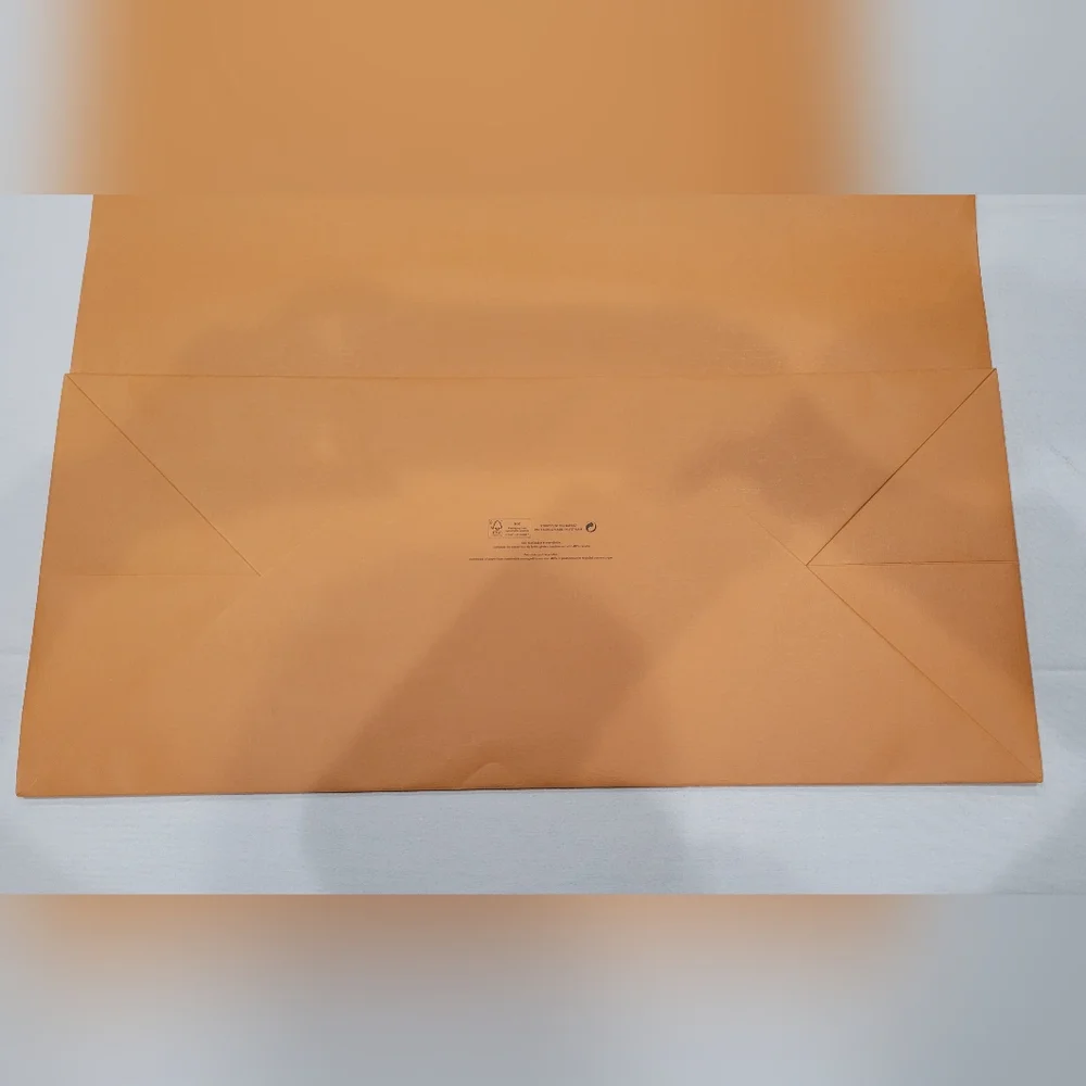 Louis Vuitton XXL paper gift shopping bag